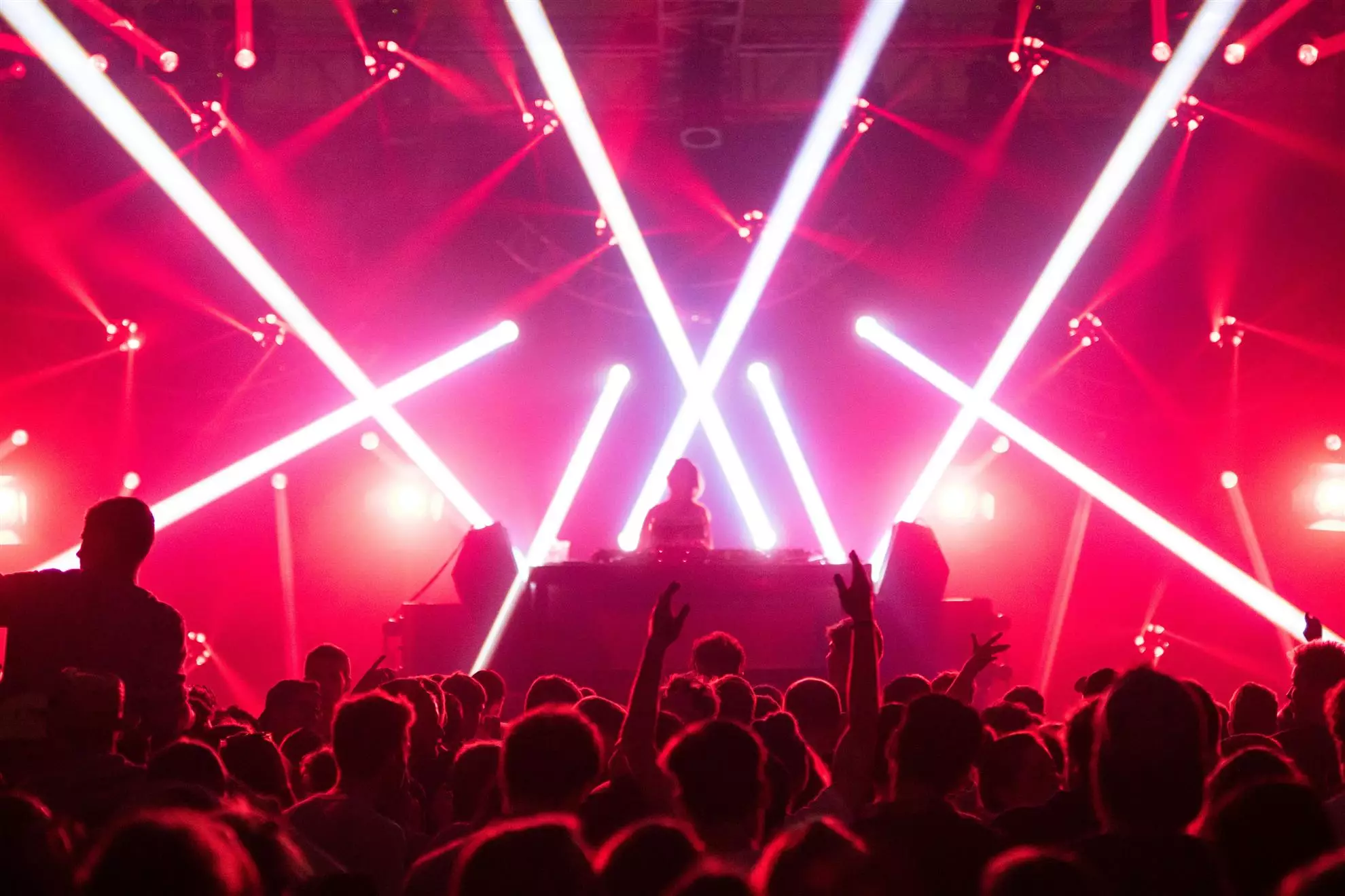 Una massa di fan a un concerto, immersa in un'atmosfera di luci intense e festose.